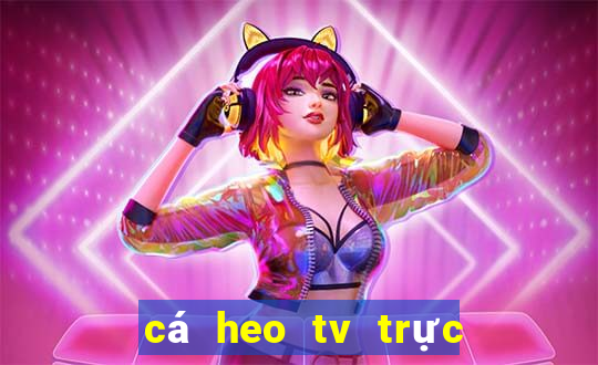 cá heo tv trực tiếp bóng đá