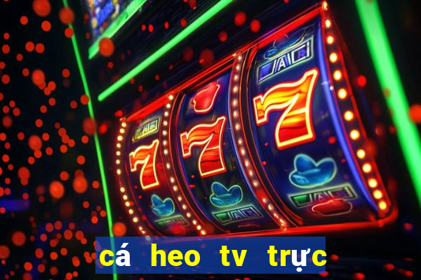 cá heo tv trực tiếp bóng đá