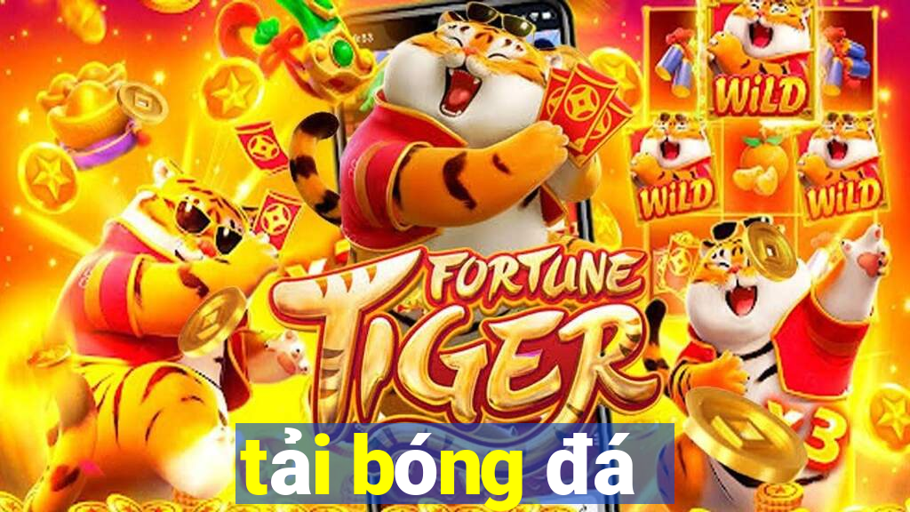 tải bóng đá