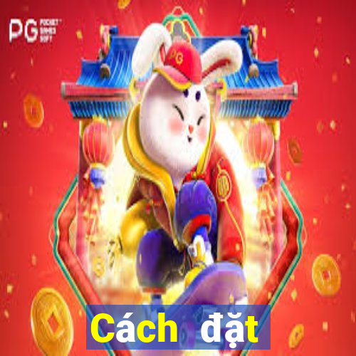 Cách đặt cược XSDTMB ngày 28