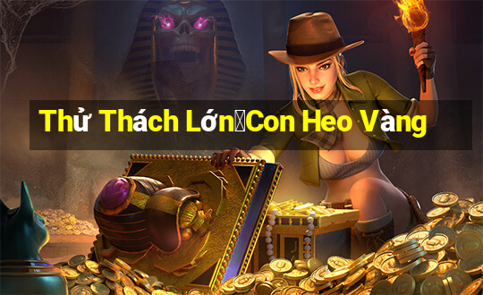 Thử Thách Lớn・Con Heo Vàng