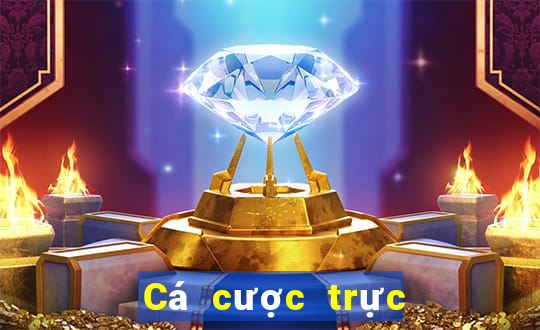 Cá cược trực tuyến 868h