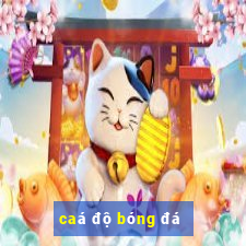 caá độ bóng đá