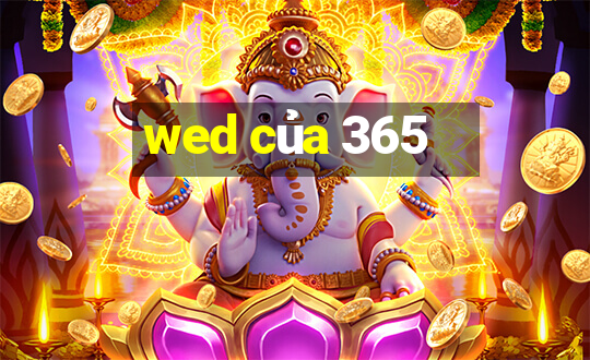 wed của 365