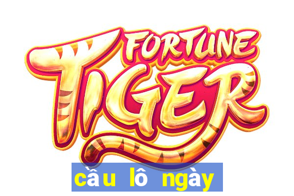 cầu lô ngày hôm nay