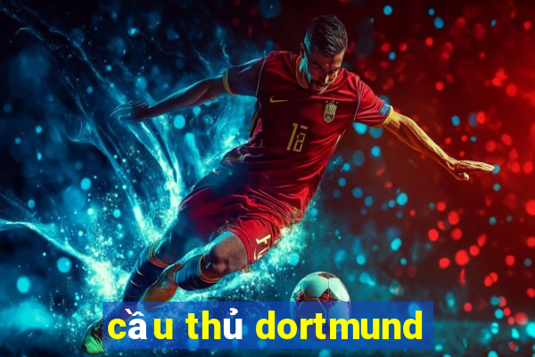 cầu thủ dortmund