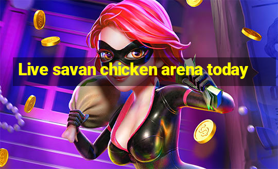 Live savan chicken arena today