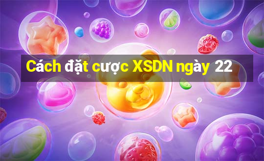 Cách đặt cược XSDN ngày 22