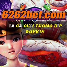 đá gà chọi thomo bịp roykin