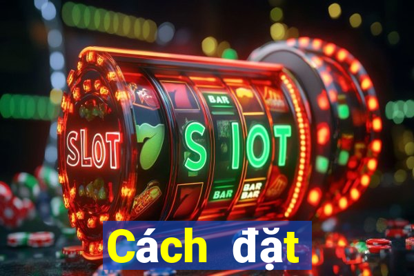 Cách đặt cược XSMT ngày 24