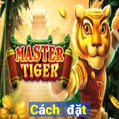 Cách đặt cược XSMT ngày 24