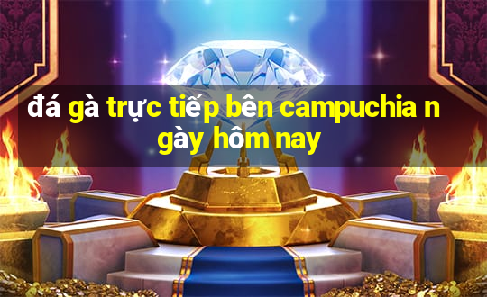 đá gà trực tiếp bên campuchia ngày hôm nay