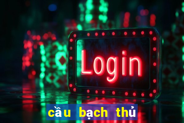 cầu bạch thủ miền bắc hôm nay