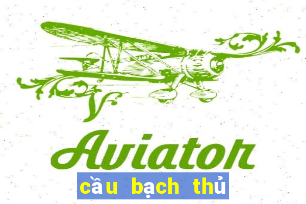 cầu bạch thủ miền bắc hôm nay