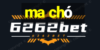 ma chó