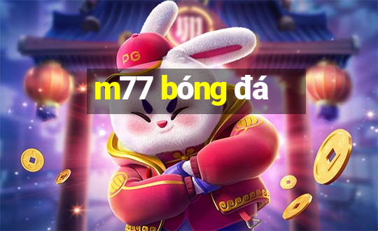 m77 bóng đá