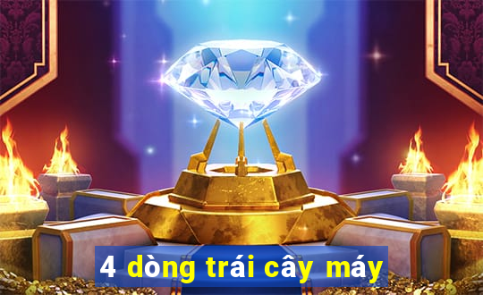 4 dòng trái cây máy