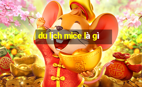 du lịch mice là gì