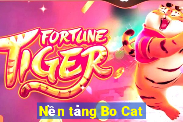 Nền tảng Bo Cat