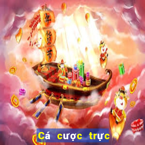 Cá cược trực tuyến hi88