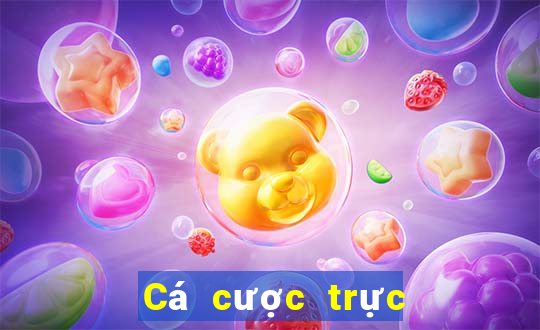 Cá cược trực tuyến hi88