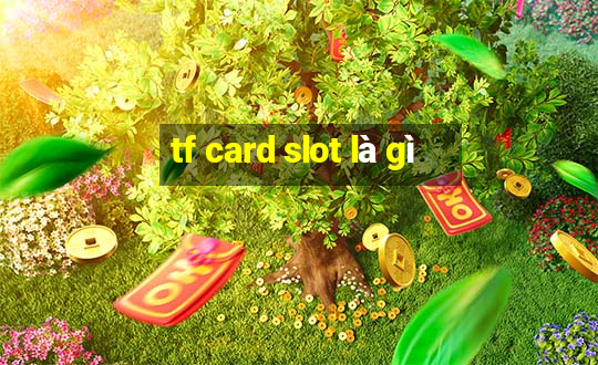 tf card slot là gì