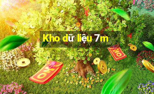 Kho dữ liệu 7m