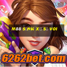 M88 Sảnh Xổ Số Voi