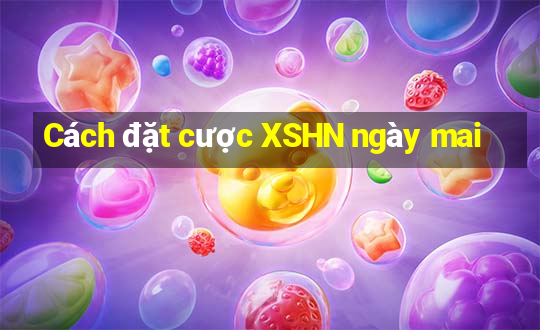 Cách đặt cược XSHN ngày mai