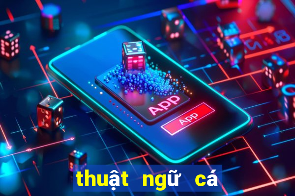 thuật ngữ cá độ bóng đá