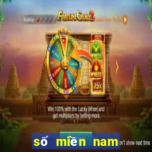 số miền nam chiều nay