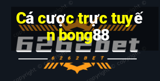 Cá cược trực tuyến bong88