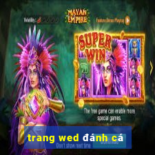 trang wed đánh cá