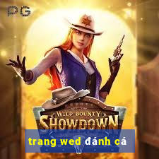 trang wed đánh cá