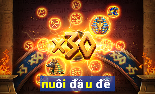 nuôi đầu đề