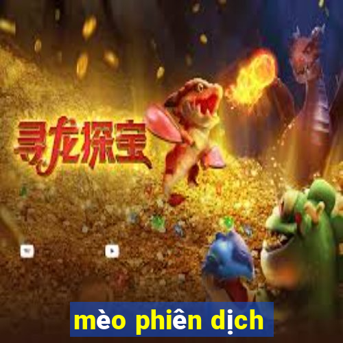 mèo phiên dịch