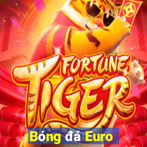 Bóng đá Euro