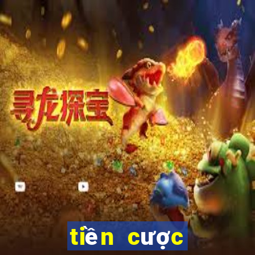 tiền cược miễn phí cvtl