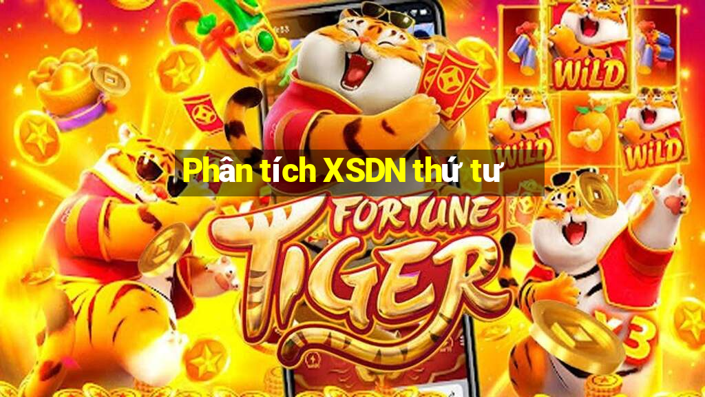 Phân tích XSDN thứ tư